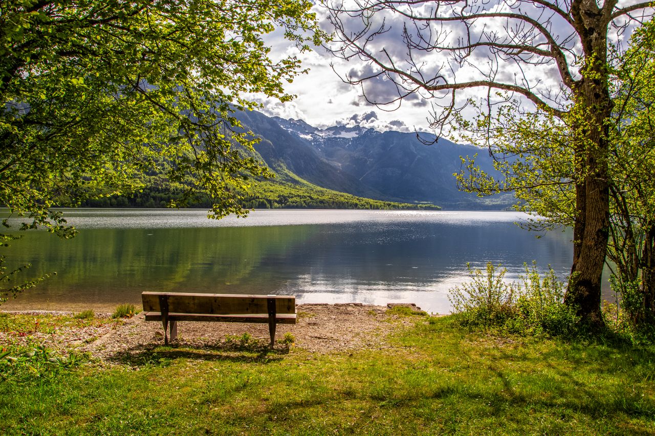a bench overseeing some beautiful nature